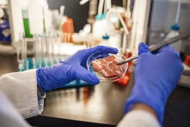 食品科学家的职业生涯 食品科学家的职业生涯