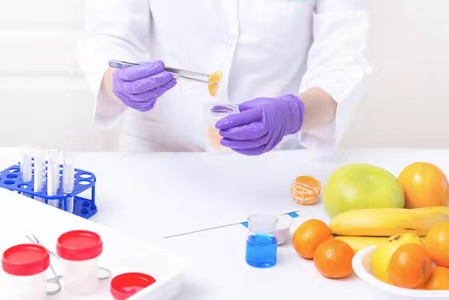 高效便捷的食品检测报告查询平台