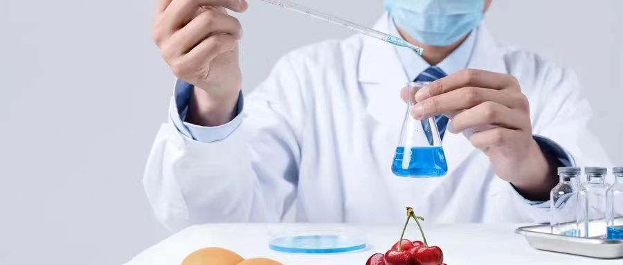 食品检测报告模板电子版的结构