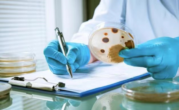 探索山西各大饮品品牌与热销产品,了解最新饮料流行趋势 探索山西各大饮品品牌与热销产品,了解最新饮料流行趋势