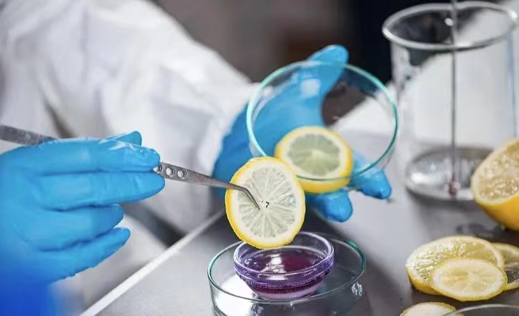 全面解析饼干生产过程中的检验标准与质量控制方法