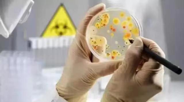 探讨豆制品检验的标准、流程及其合格率,揭示是否每一批豆制品都能达到质量要求。 探讨豆制品检验的标准、流程及其合格率,揭示是否每一批豆制品都能达到质量要求。