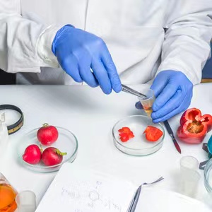 全面把控面包质量,确保消费者食用安全