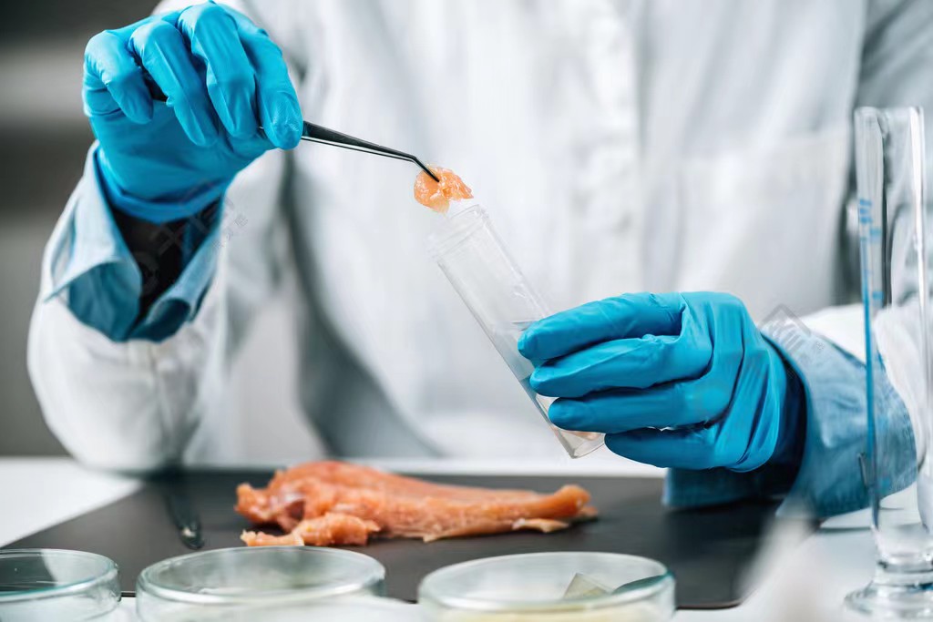 探索豆制品行业中的标准化管理与质量要求