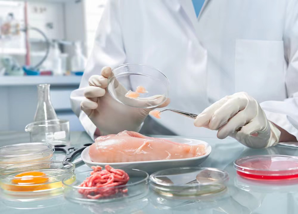 介绍哈尔滨食品检测机构的类型与选择标准，助力消费者和企业了解专业检测服务